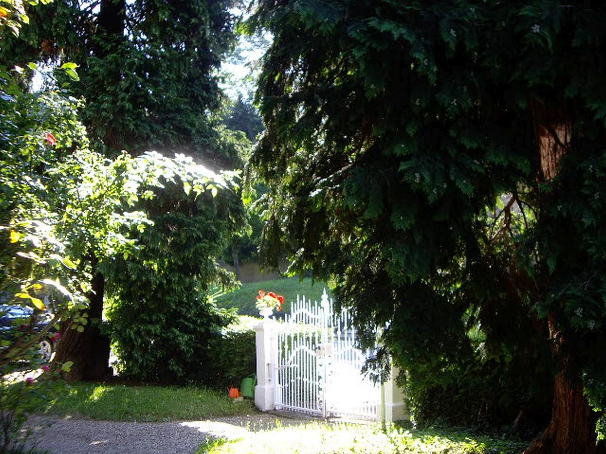 Villa Martha Badenweiler Dış mekan fotoğraf